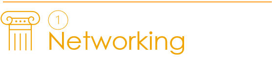 Intro002_PillarsNetworking.png Intro002_PillarsNetworking.png