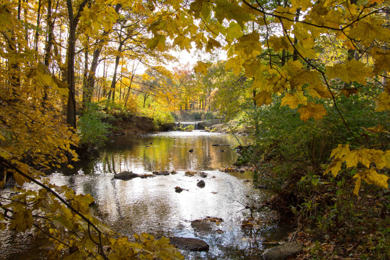 DSC_7013 waterfall at Arboretum in Fall.jpg