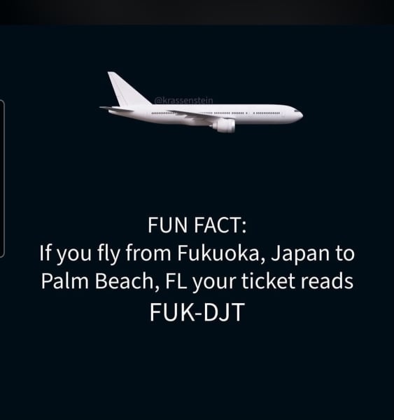 1000107366.jpg