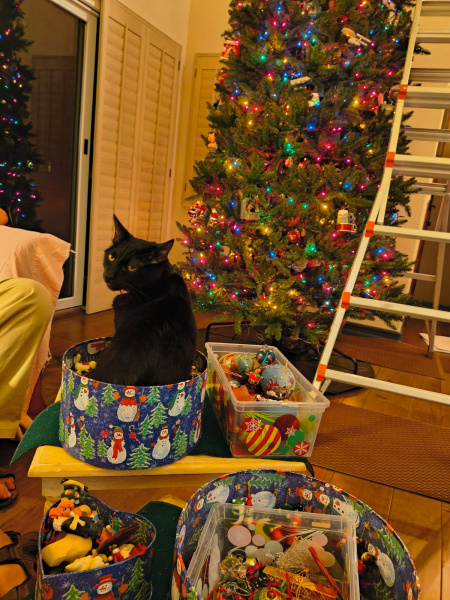 image000000 - 2026-01-04T180757.313.jpg