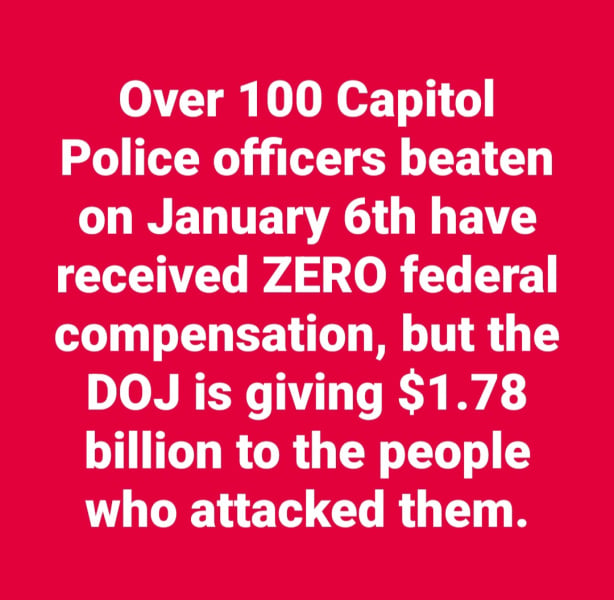 1000101652.jpg