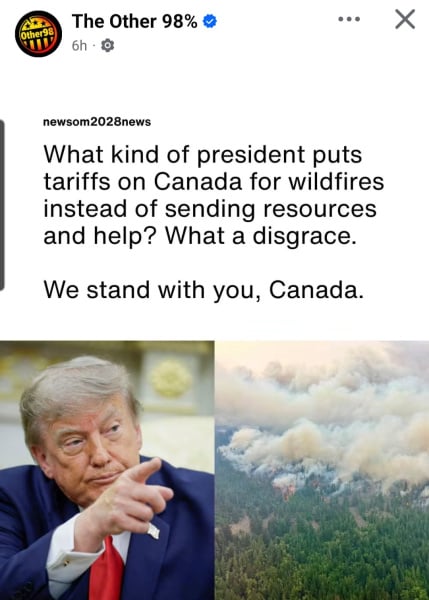 1000107551.jpg