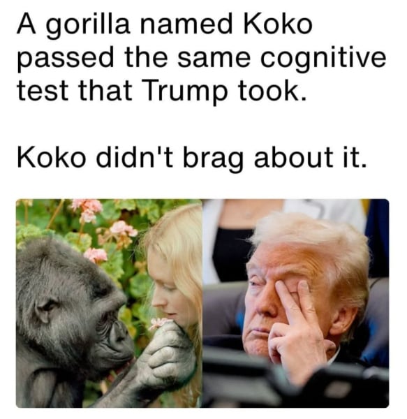 1000100164.jpg