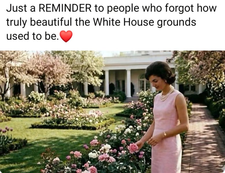 1000113820.jpg
