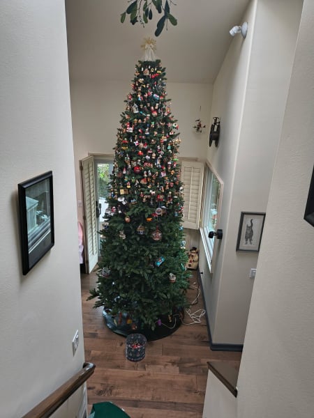 image000000 - 2026-01-04T180717.938.jpg