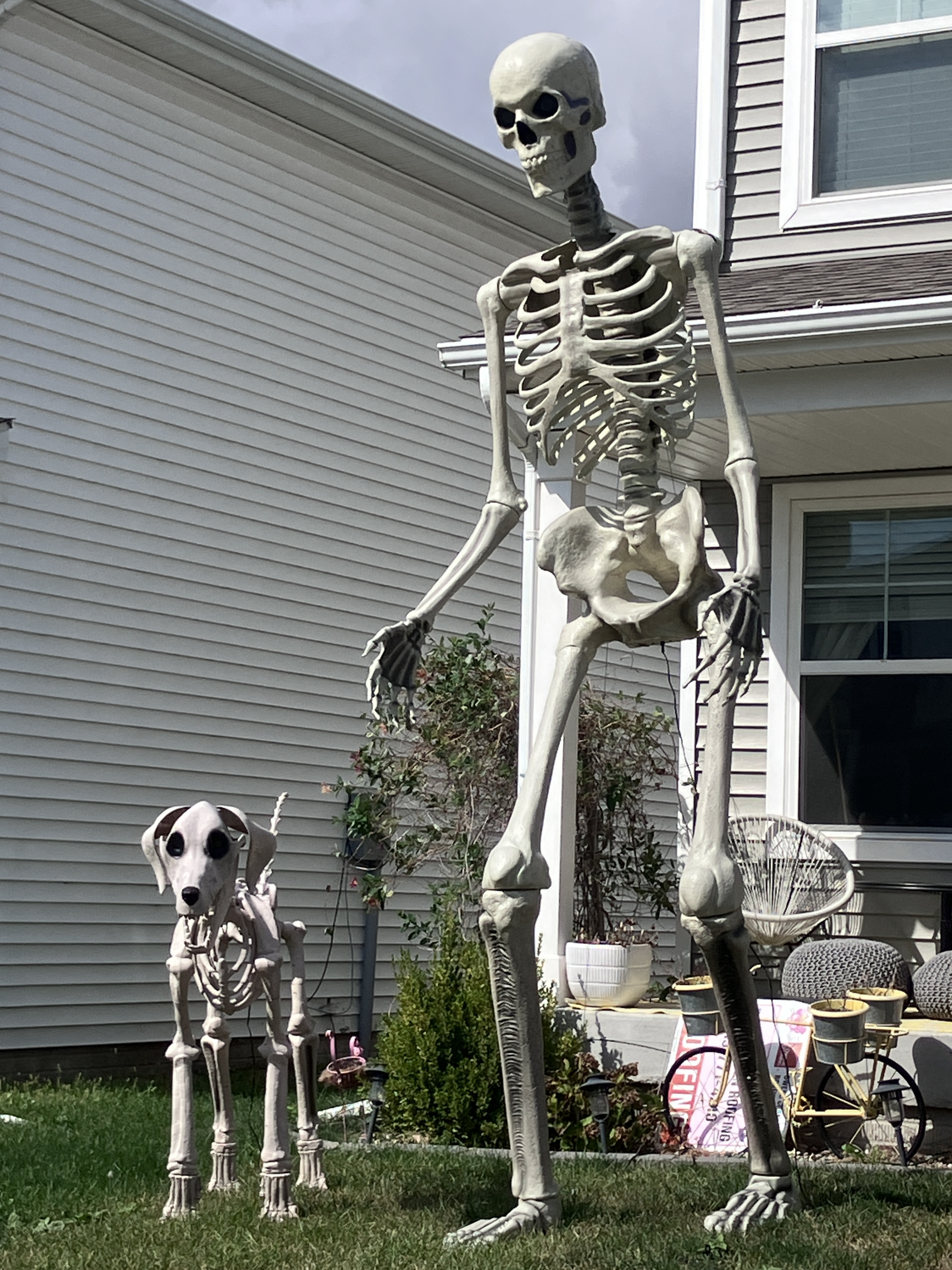 IMG_1703.jpeg
