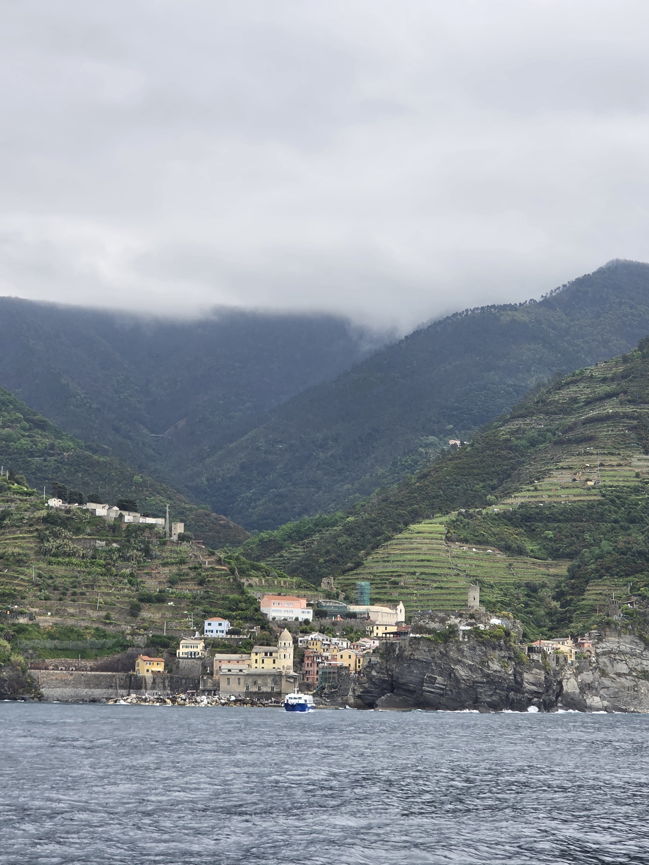 1000006339.jpg