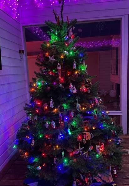 tree with lights-2025.jpg