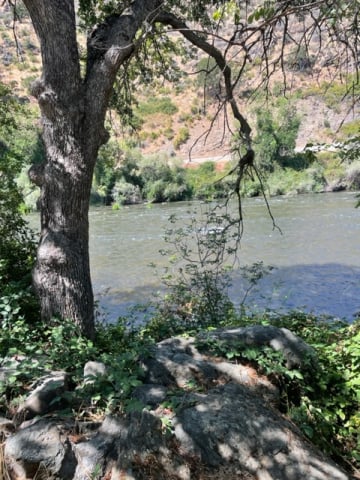 Yreka rest stop 2025.jpg