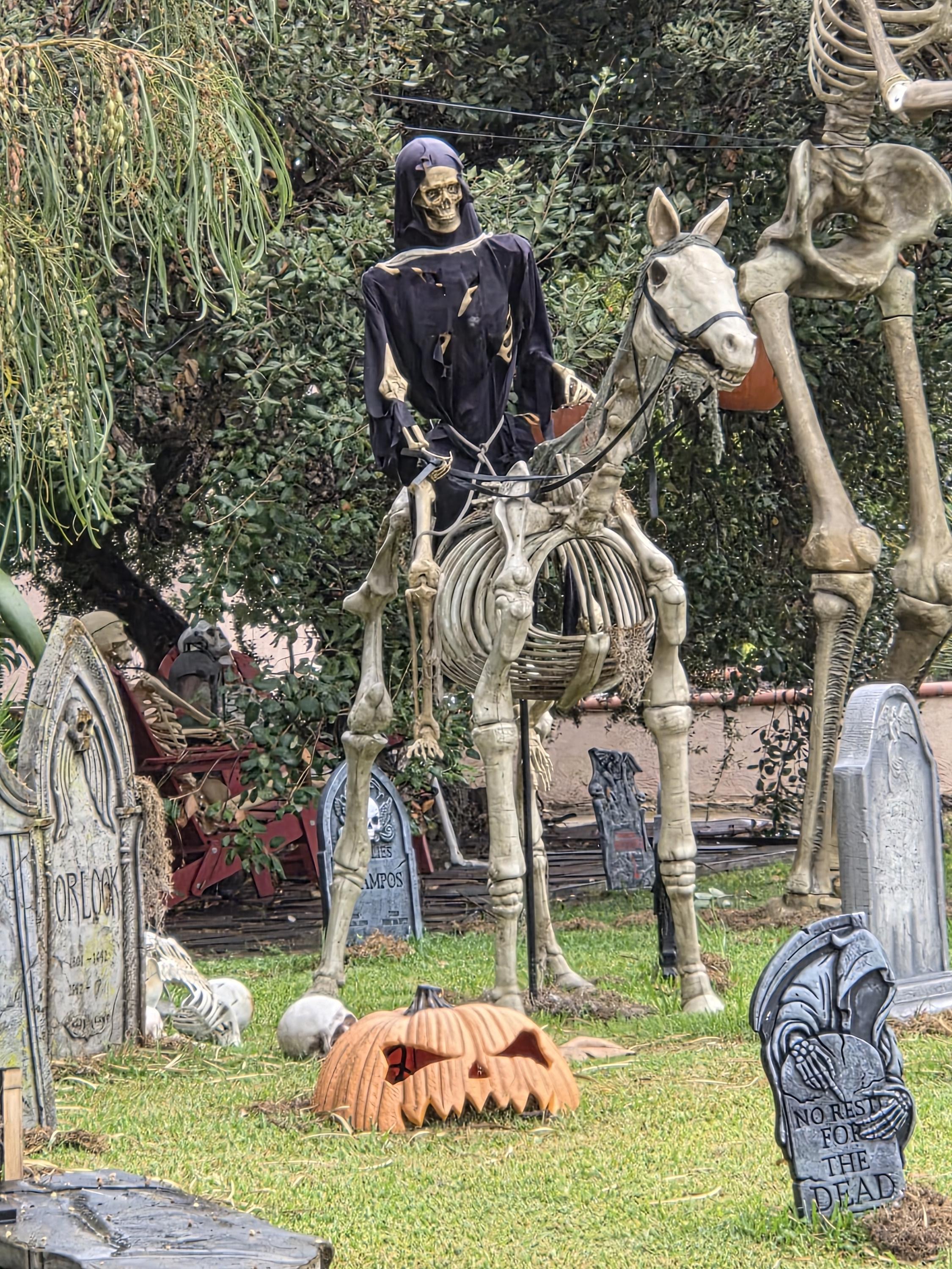 1000009242.jpg