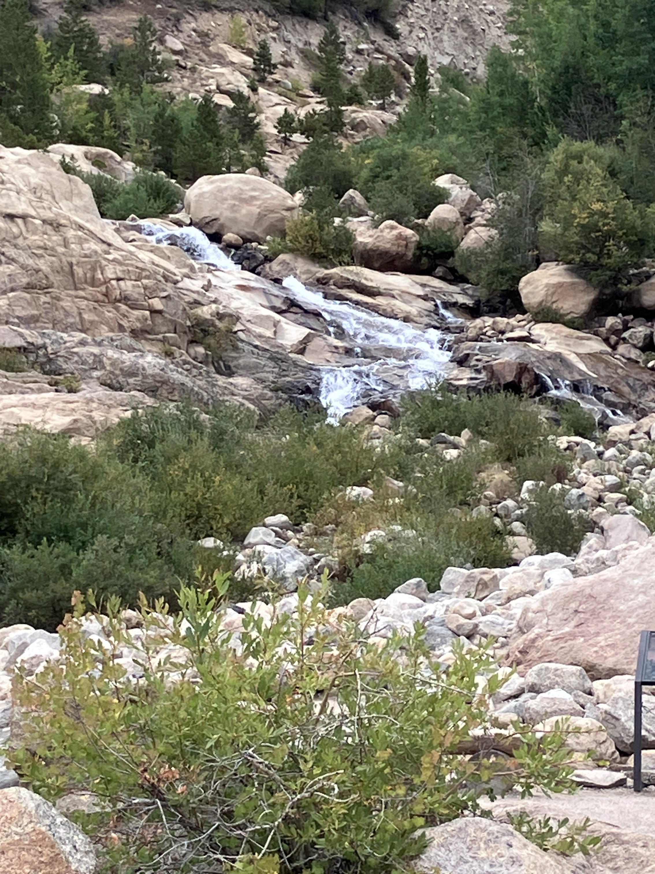 IMG_1632.jpeg