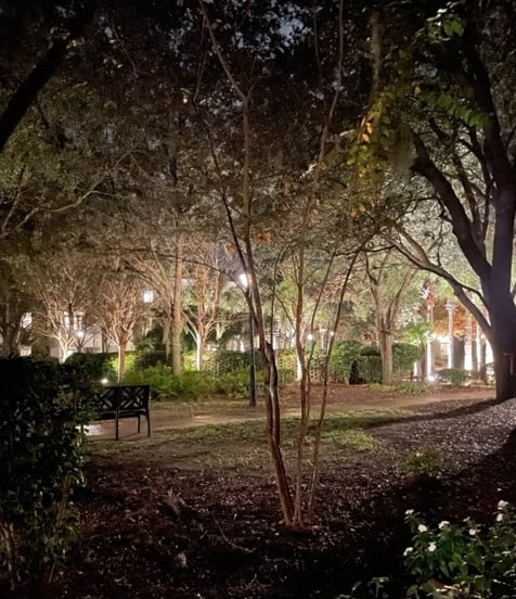 Bishop Gadsden at night.jpg