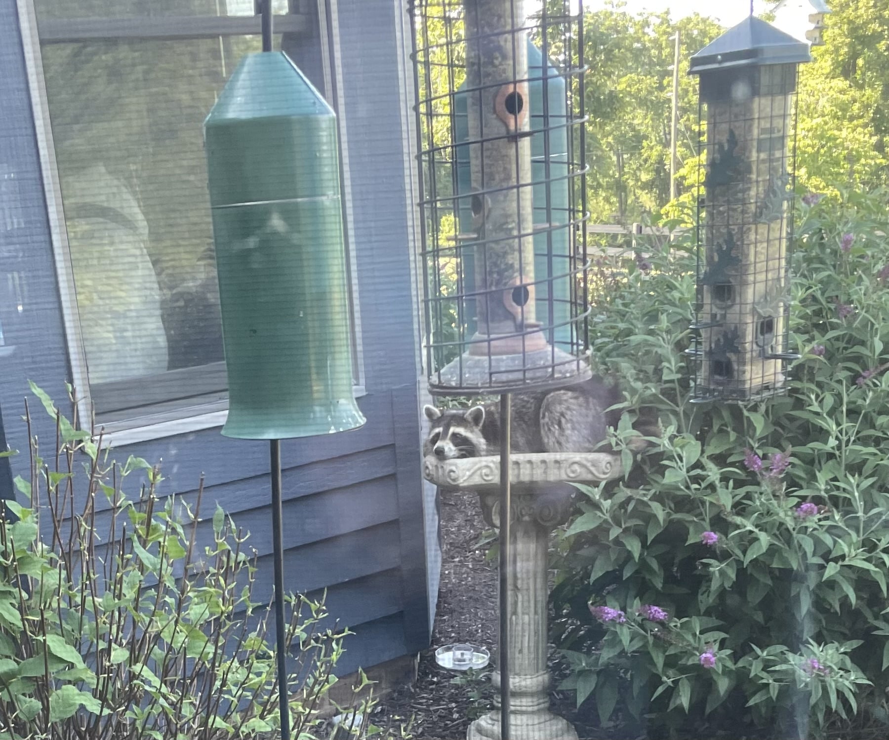 IMG_1786.jpeg