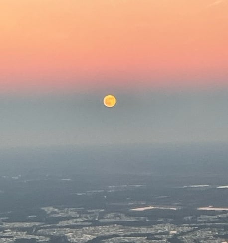 beaver moon-charleston.jpg