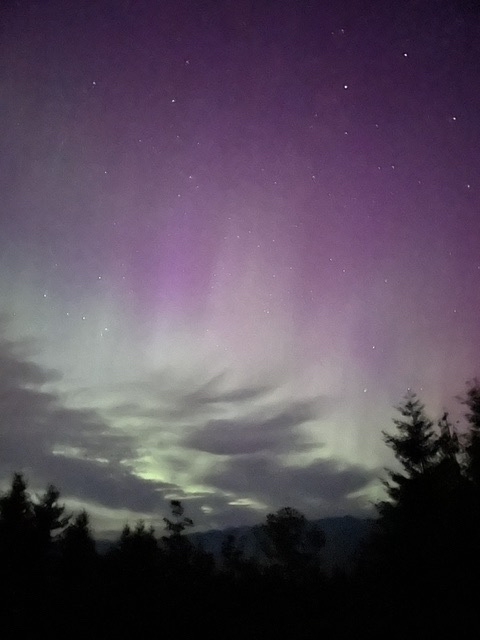 Aurora 4.jpg
