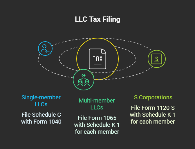 Image 1 LLCs & Taxation.png