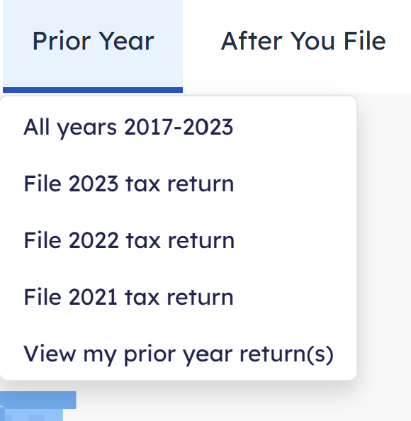 file back taxes image6.png