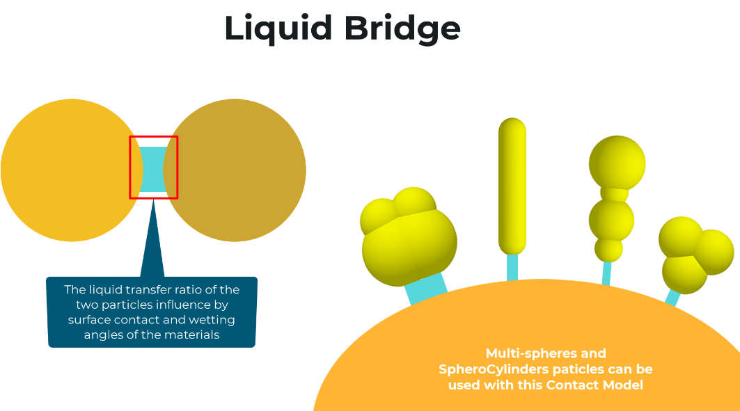 Liquid Bridge community .png