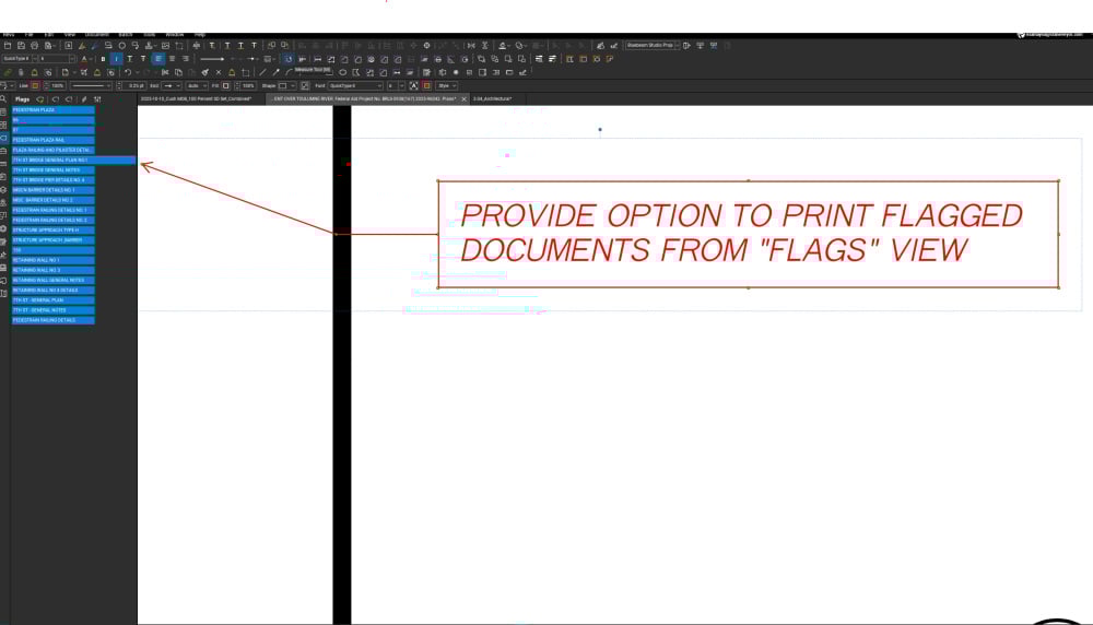 PRINT FLAG DOCS.jpg