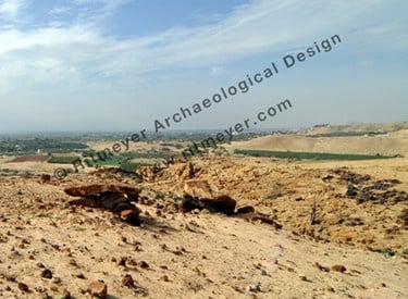 Picture1.jpg