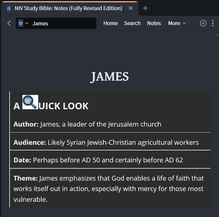 NIV Study Bible - James.jpg