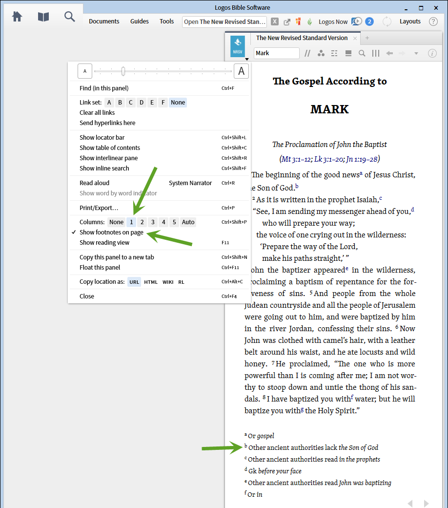TIP of the day: Viewing footnotes, end notes, marginalia, center column ...