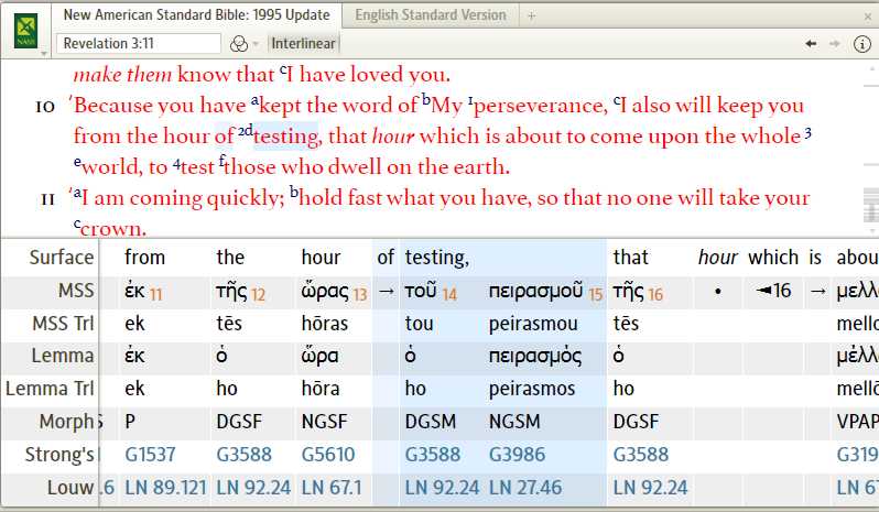 NASB95 Hebrew Interlinear mis-coding - Logos and Verbum Forum - Logos ...