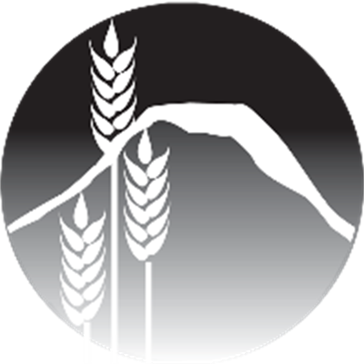 Photo of Jared Jones