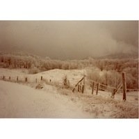 Photo of Maynard Sweigard