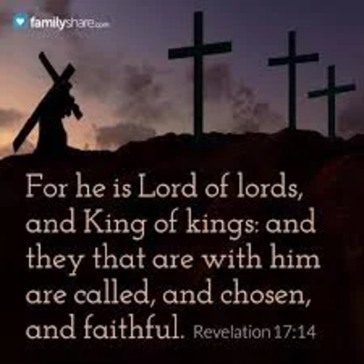 Photo of Ree S Medeiros