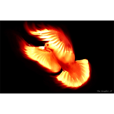 Photo of Guillermo Santamaria