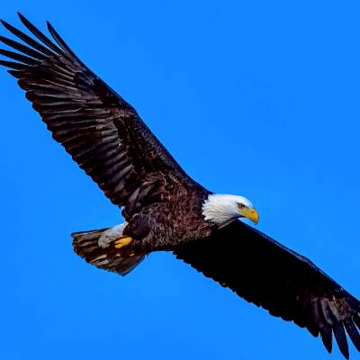 Photo of Tyler Walton