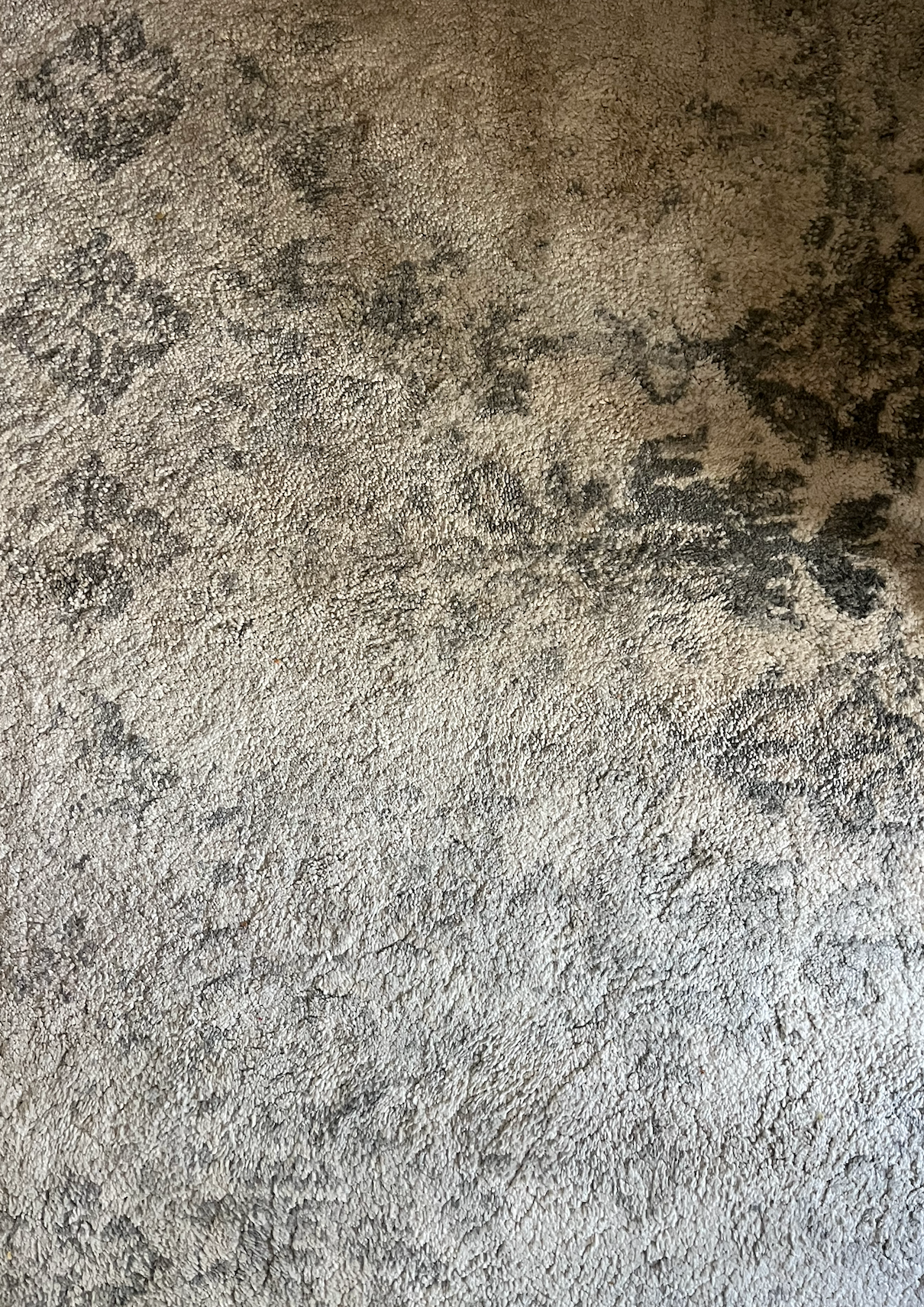rug2.png