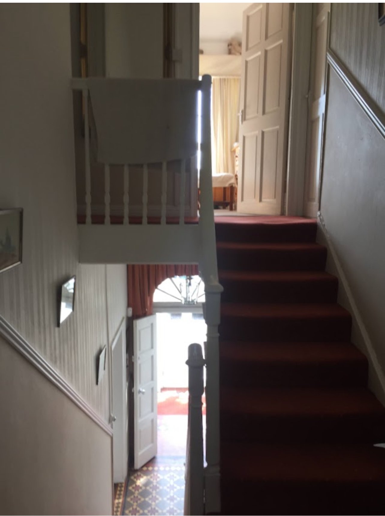 IMG_3317.jpeg