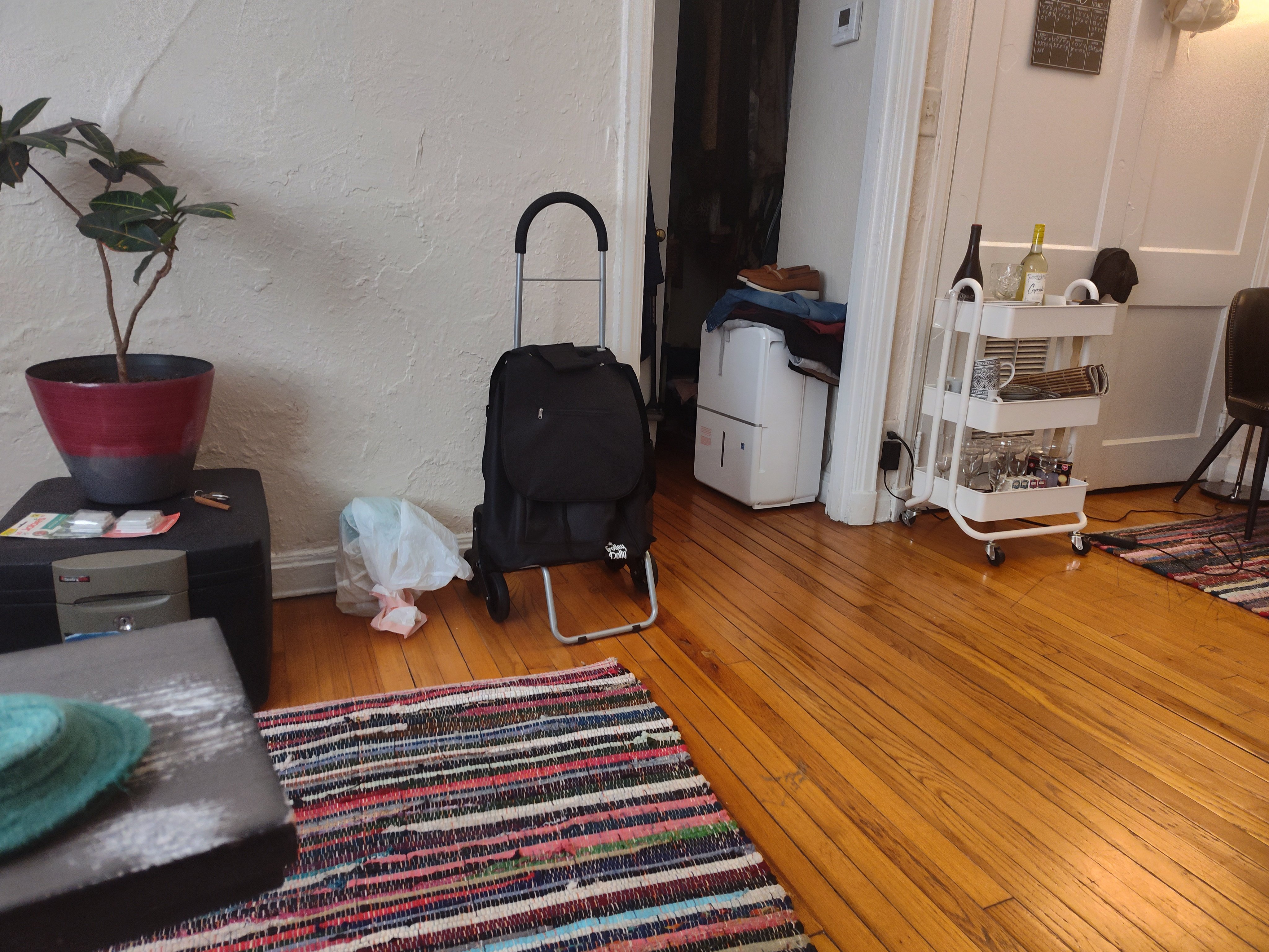 IMG_20250730_115800254_HDR.jpg
