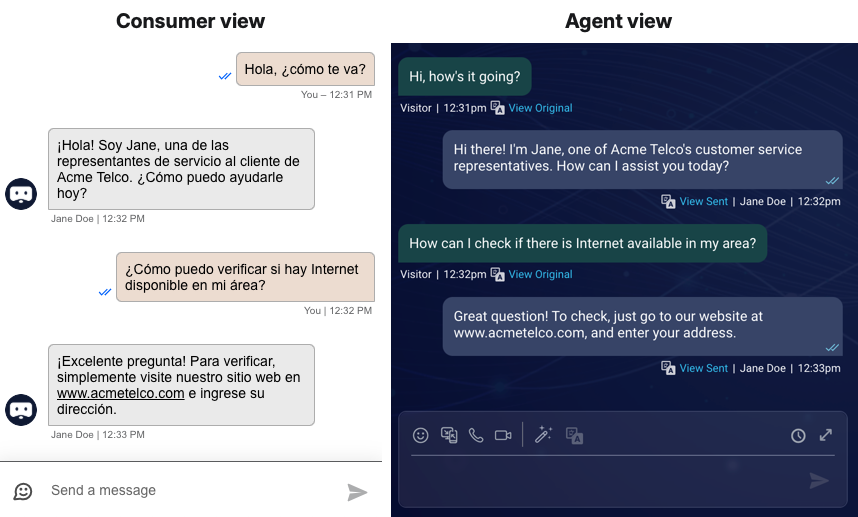 translate - dual views.png