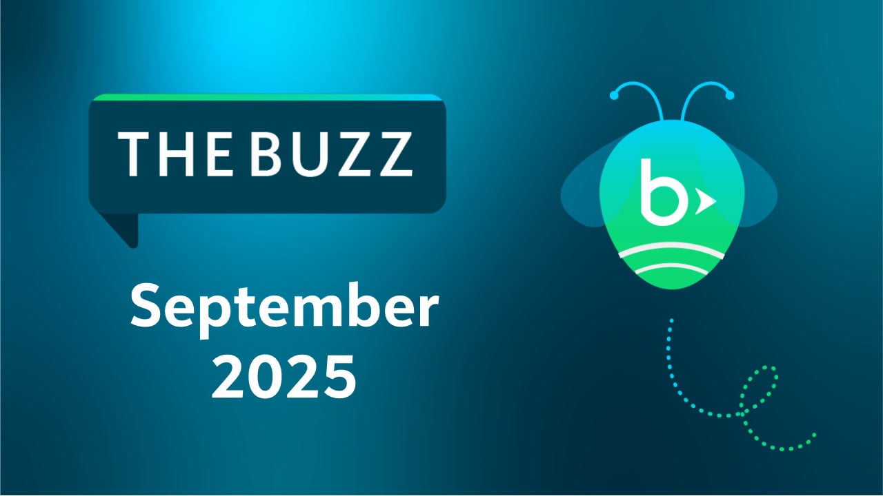 The Buzz - Variation 01 - Landscape _16_9_.jpg