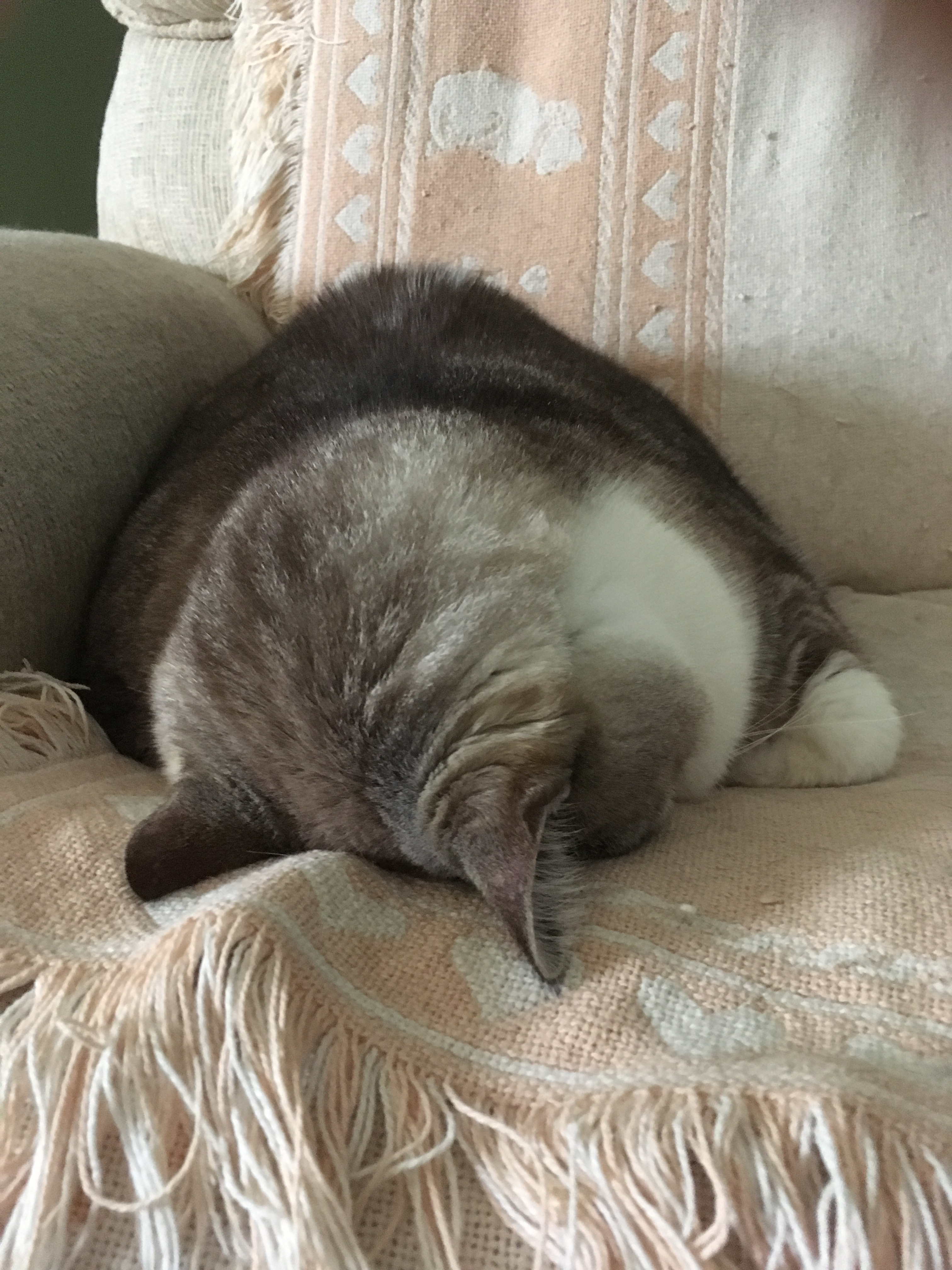 HeatherPics82017 020.JPG