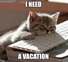 A kitten sleeping on a keyboard with the text, " I need a vacation."