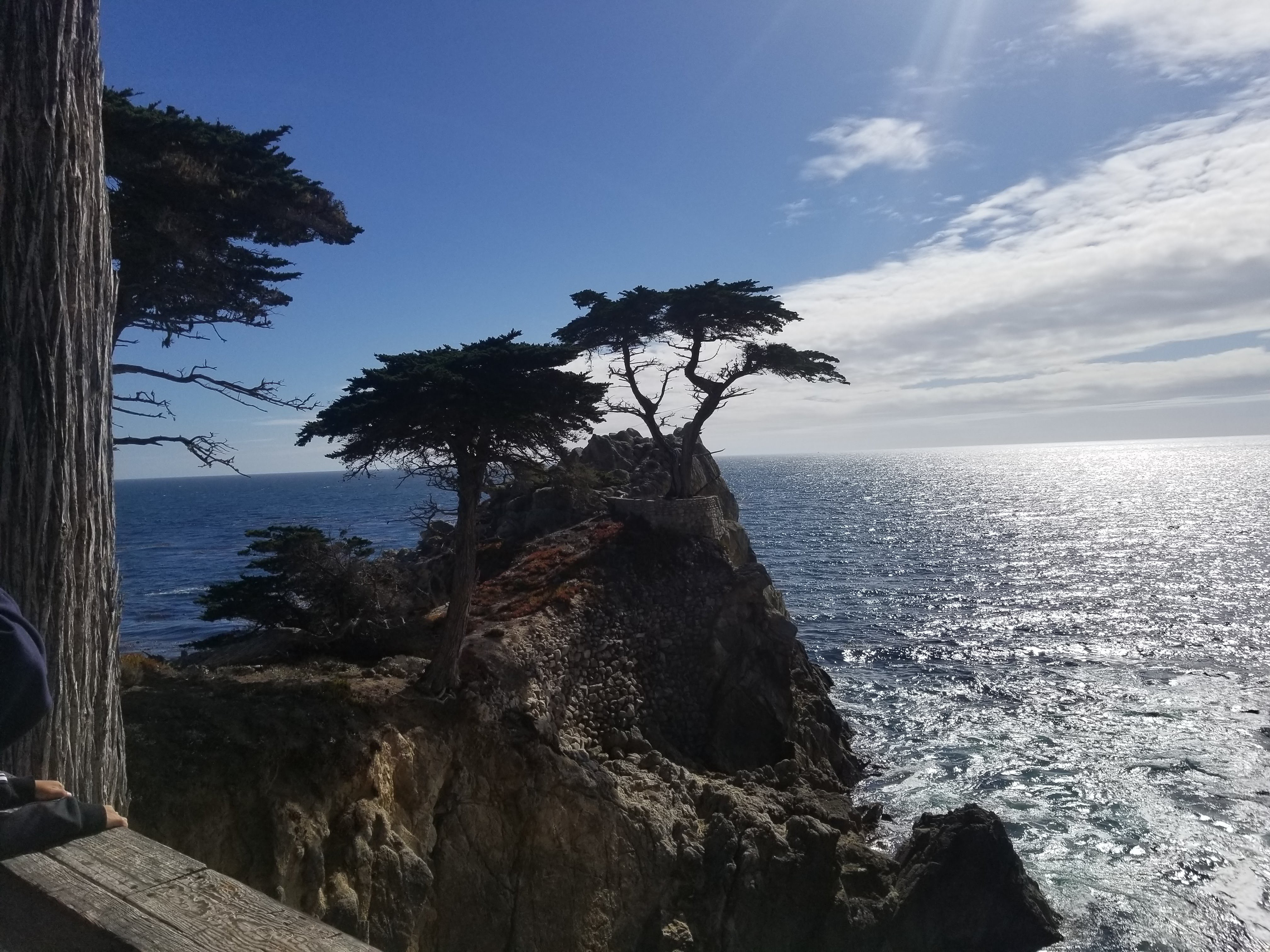 MontereyCA0918.jpg