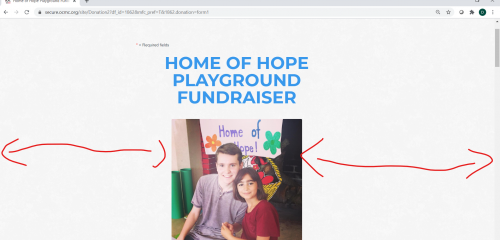 Donation page example