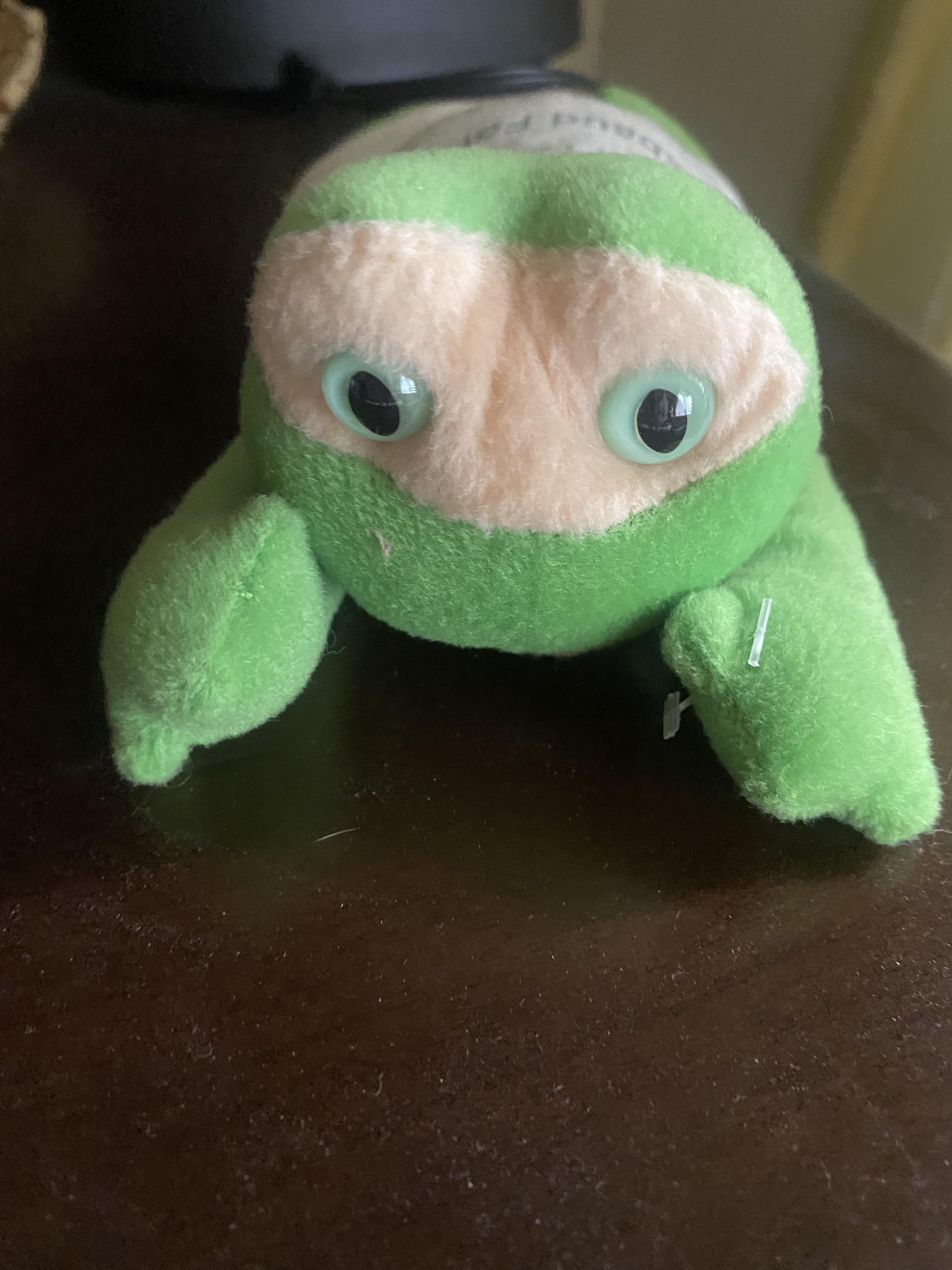 455bb0ccbf44249741735a6cdde85576-origina