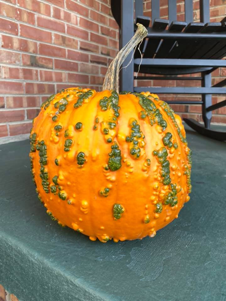 5e4bf2ef1c1b943537e264d2bfd2dc64-origina