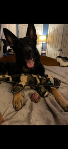 20709a83432b6d74fe009eaa71c212e5-huge-bl