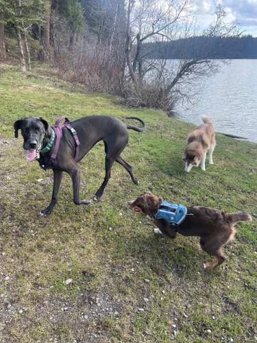 1fe4cc22244767f9eef5dd72c071bbb7-huge-wl