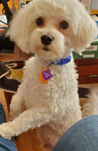 2de3bfe4f4f1741e20930f039a974f56-huge-re