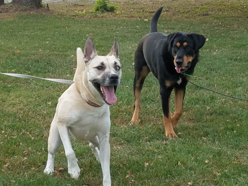 395d27a0009e51d876e9a9f7794a8be6-huge-re