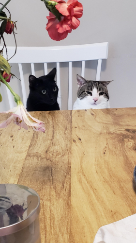 47c581017c046b02100d2c4e33beb97c-huge-pp