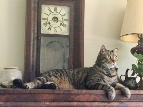 61f0976102db5a563ba5b1ba21505594-huge-im