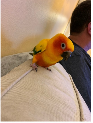 6750e6efbc1a104b8903b55de79acbac-huge-ch